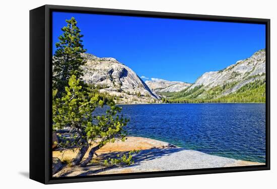 Gaylor Lakes - Yosemite National Park - Californie - United States-Philippe Hugonnard-Framed Stretched Canvas