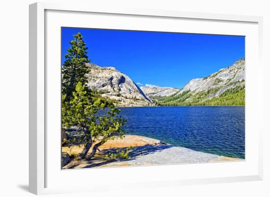 Gaylor Lakes - Yosemite National Park - Californie - United States-Philippe Hugonnard-Framed Photographic Print