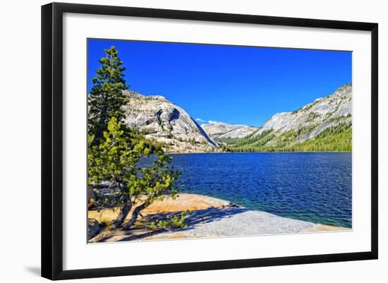 Gaylor Lakes - Yosemite National Park - Californie - United States-Philippe Hugonnard-Framed Photographic Print