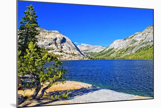 Gaylor Lakes - Yosemite National Park - Californie - United States-Philippe Hugonnard-Mounted Photographic Print