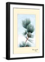 Gayo Matsu Pine-Megata Morikaga-Framed Art Print
