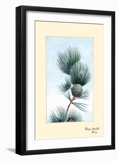 Gayo Matsu Pine-Megata Morikaga-Framed Art Print