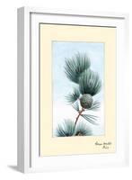 Gayo Matsu Pine-Megata Morikaga-Framed Art Print