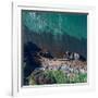 Gayundah Wreck Shipwreck in the Middle of the Ocean. Rust Boat on the Coast with Nice Ocean Color B-SaintM Photos-Framed Photographic Print