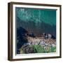 Gayundah Wreck Shipwreck in the Middle of the Ocean. Rust Boat on the Coast with Nice Ocean Color B-SaintM Photos-Framed Photographic Print