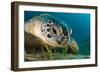 Gaze-Dmitry Marchenko-Framed Photographic Print