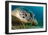 Gaze-Dmitry Marchenko-Framed Photographic Print