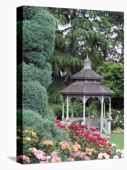 Gazebo and Roses in Bloom at the Woodland Park Zoo Rose Garden, Washington, USA-null-Stretched Canvas