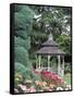 Gazebo and Roses in Bloom at the Woodland Park Zoo Rose Garden, Washington, USA-null-Framed Stretched Canvas