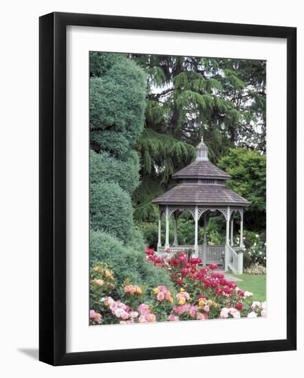 Gazebo and Roses in Bloom at the Woodland Park Zoo Rose Garden, Washington, USA-null-Framed Photographic Print
