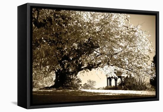 Gazebo-Alan Hausenflock-Framed Stretched Canvas