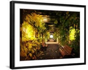 Gazebo-Irene Suchocki-Framed Photographic Print