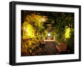 Gazebo-Irene Suchocki-Framed Photographic Print