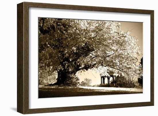 Gazebo-Alan Hausenflock-Framed Photographic Print