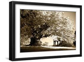 Gazebo-Alan Hausenflock-Framed Photographic Print