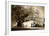 Gazebo-Alan Hausenflock-Framed Photographic Print