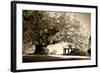 Gazebo-Alan Hausenflock-Framed Photographic Print