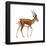 Gazelle (Gazella Granti), Mammals-Encyclopaedia Britannica-Framed Poster