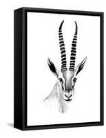 Gazelle Sketch II-Annie Warren-Framed Stretched Canvas