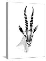 Gazelle Sketch II-Annie Warren-Stretched Canvas