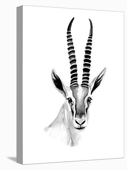 Gazelle Sketch II-Annie Warren-Stretched Canvas