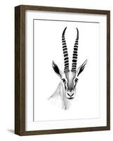 Gazelle Sketch II-Annie Warren-Framed Art Print