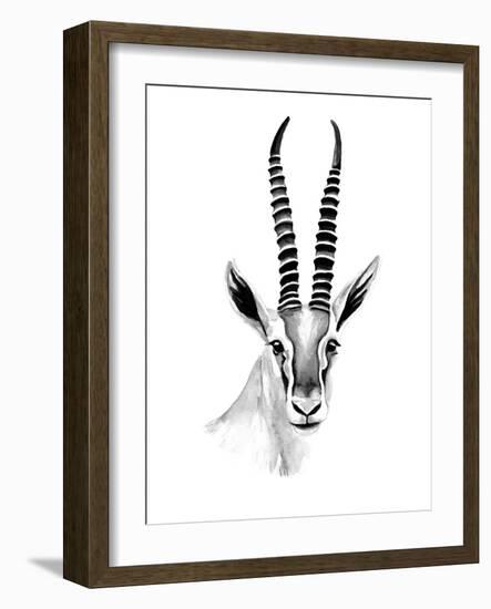 Gazelle Sketch II-Annie Warren-Framed Art Print