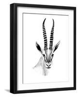 Gazelle Sketch II-Annie Warren-Framed Art Print