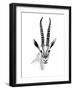 Gazelle Sketch II-Annie Warren-Framed Art Print