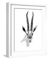 Gazelle Sketch II-Annie Warren-Framed Art Print