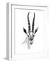 Gazelle Sketch II-Annie Warren-Framed Art Print