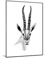 Gazelle Sketch II-Annie Warren-Mounted Art Print