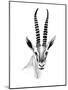 Gazelle Sketch II-Annie Warren-Mounted Art Print