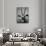 Gazelle-Henry Horenstein-Premium Photographic Print displayed on a wall