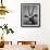 Gazelle-Henry Horenstein-Framed Photographic Print displayed on a wall