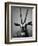 Gazelle-Henry Horenstein-Framed Photographic Print