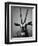 Gazelle-Henry Horenstein-Framed Photographic Print