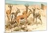 Gazelles-F.W. Kuhnert-Mounted Art Print