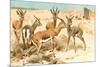 Gazelles-F.W. Kuhnert-Mounted Premium Giclee Print