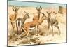 Gazelles-F.W. Kuhnert-Mounted Art Print