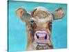 Gazing Cow 1-Doris Charest-Stretched Canvas