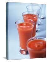 Gazpacho in Small Glasses-Ian Batchelor-Stretched Canvas