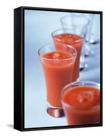 Gazpacho in Small Glasses-Ian Batchelor-Framed Stretched Canvas