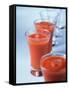 Gazpacho in Small Glasses-Ian Batchelor-Framed Stretched Canvas
