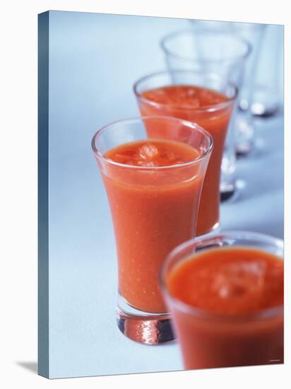 Gazpacho in Small Glasses-Ian Batchelor-Stretched Canvas