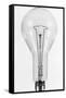 Ge Electric Light Bulb-null-Framed Stretched Canvas