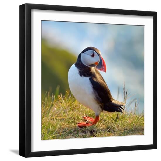 Premium Photographic Print, , large