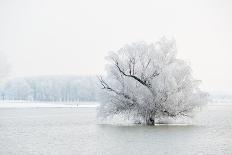 Winter Landscape-geanina bechea-Framed Photographic Print