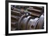 Gears I-Brian Moore-Framed Premium Photographic Print