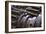 Gears I-Brian Moore-Framed Photographic Print